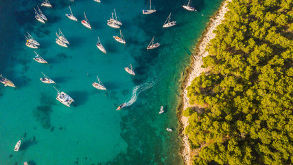 Wall Mural - Aerial view of sailling boats