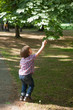 © Aitor Diago - Little boy trying to catch the leaf of a tree