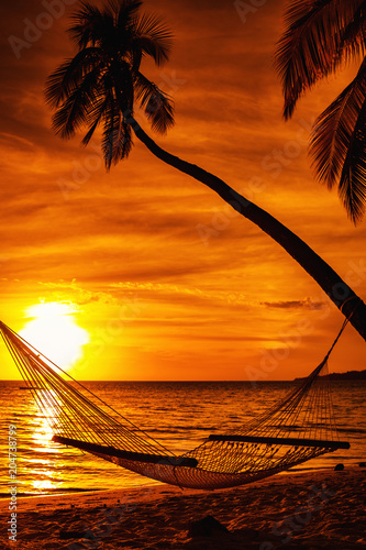 Hammock on a palm tree during beautiful sunset on tropical Fiji Canvas Print