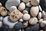 Fototapeta Desenie - Background of sea stones and starfish