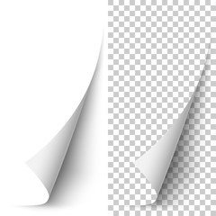 Leinwandbilder - Vector white vertical paper corner rolled up