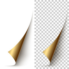 Leinwandbilder - Vector golden foil vertical paper corner rolled up
