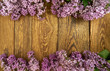 Kwiaty bzu na drewnianym tle
