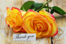 Thank You Card With Two Red And Yellow Roses On Rustic Wood
