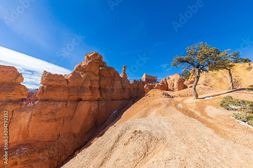 Plakat Bryce Canyon Scenic Winter Landscape
