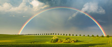 Rainbow Over The Spring Field