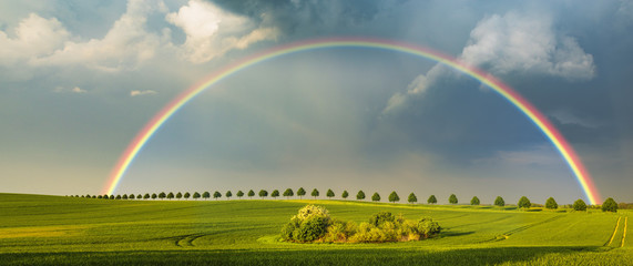 Wall Mural - rainbow over the spring field