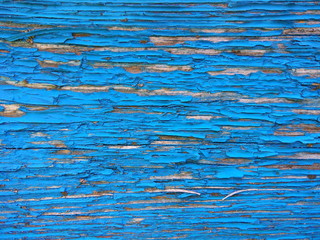 Texture of a blue wooden surface, abstract colored background of an old painted wood, blue natural pattern for a designer, minimalistic background