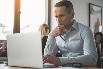 Poster - Portrait of focused businessman looking at notebook computer while sitting at table. Undistracted employer concept