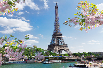 Wall Mural - eiffel tour over seine river