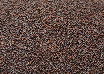 Brown Mustard Seeds Also Know as Rai Spice Background