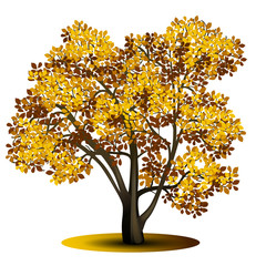 Wall Mural - detached tree with yellow leaves