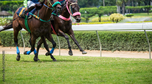 Cuadros en Lienzo Horses running past on the racetrack