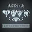 African big five animals and pattern
