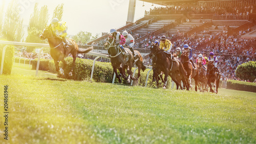 Fotografía Race horses with jockeys on the home straight.