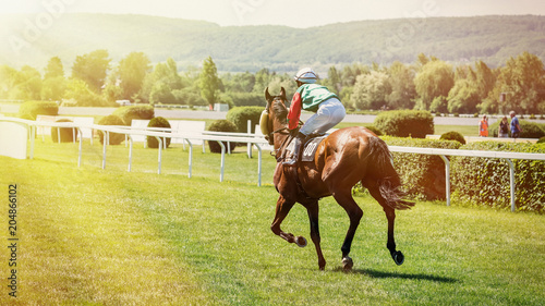 Fotomural Race horses with jockeys on the home straight.