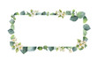 © ElenaMedvedeva - Watercolor vector frame with green eucalyptus leaves, Jasmine flowers and branches.