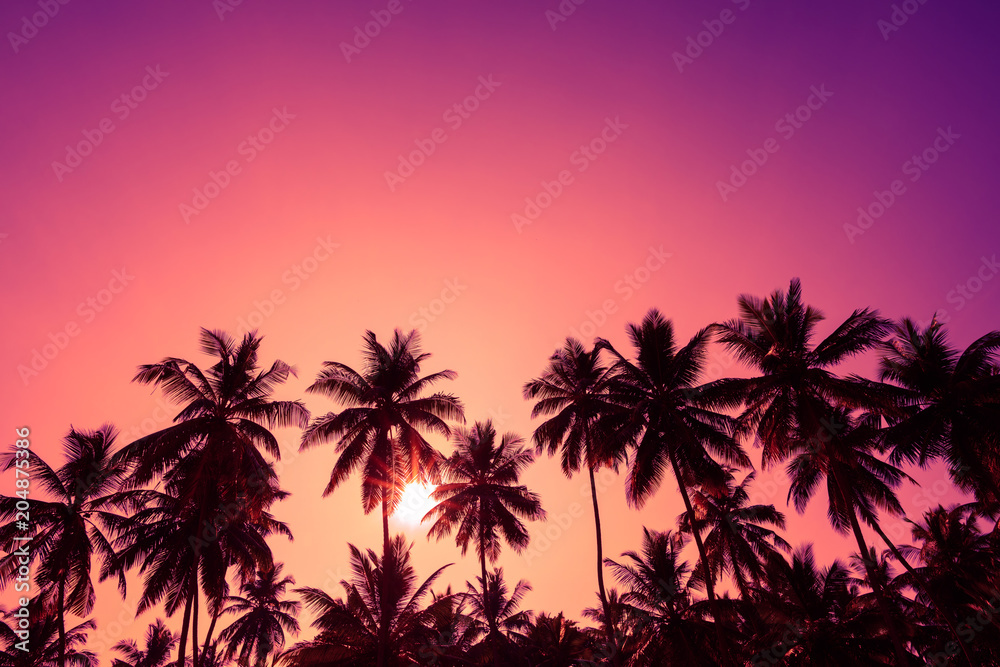 Tropical sunset coconut palm trees silhouettes - obrazy, fototapety, plakaty 