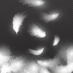 Poster - Falling white fluffy feathers on air isolated on black background. Easy symbol concept vector illustration