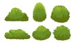 Garden green bushes. Cartoon shrub and bush vector set isolated on white background