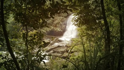 Wall Mural - Natural Waterfall in Thai Tropical Wilderness, with Sound