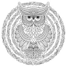  Coloring Page With Cute Owl And Floral Frame.