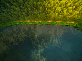 Canvas Print - Aerial top down view over forest and lake