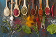 Various spices spoons and herbs on a blue background.