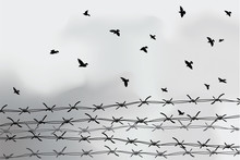 Barbed Wire Fencing. Fence Made Of Wire With Spikes. Black And White Illustration To The Holocaust. Console Camp.