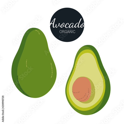 Bright Vector Set Of Colorful Half Slice And Whole Of Fresh Avocado Fresh Flat Cartoon Avocados Isolated On White Background Buy This Stock Vector And Explore Similar Vectors At Adobe Stock