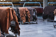 © PHOTOLIFESTYLE - Production of leather furniture