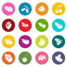 Berries Icons Set Colorful Circles Vector