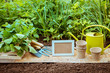 garden and vegetable garden, empty plate for texts