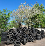 Fototapeta  - spring nature against old rubber tyres