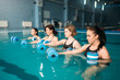 © Nomad_Soul - Group doing exercise with dumbbells, aqua aerobics