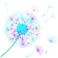 Abstract Background Of A Dandelion For Design.