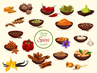 Wall Mural - Spice, condiment and food seasoning poster