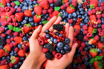 Woman hands holding organic fresh berries against the background of strawberry, blueberry, blackberries, currant, mint leaves. Top view. Summer food. Vegan, vegetarian and clean eating concept.