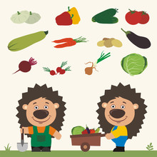 Set Of Isolated Vegetables: Squash, Peppers, Cucumbers, Tomatoes, Zucchini, Carrots, Potatoes, Eggplant, Beet, Radishes, Cabbage, Onion. Two Funny Hedgehogs Farmers.