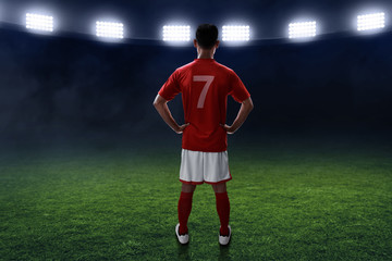 Wall Mural - Soccer player standing on the field