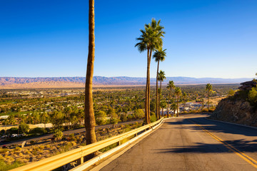 Fototapete - Scenic road leading to Palm Springs in California