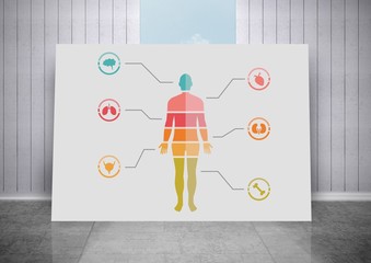 Wall Mural - Human Body chart on card