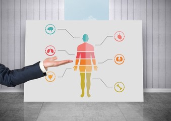 Poster - Human Body chart on card and hand open