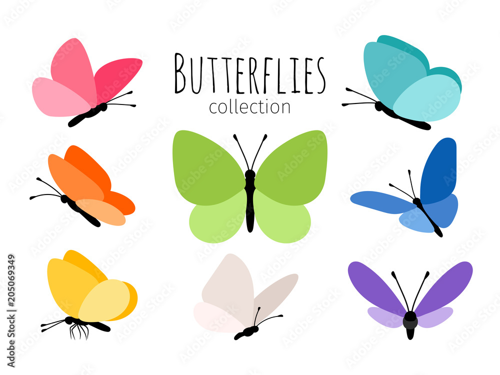 Colored spring butterflies - obrazy, fototapety, plakaty 