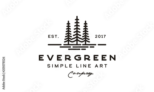 Fotomural pine evergreen fir hemlock spruce conifer cedar coniferous cypress larch pinus t