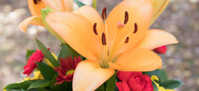 A Beautiful Close Up Photo Of A Bouquet Of Flowers With An Orange Tiger Lily Being The Focal Point.