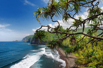 Poster - Stunning view of rocky beach of Pololu Valley, Big Island, Hawaii, taken from Pololu trail, Hawaii