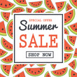 © Karolina Madej - Special offer - Summer Sale. Poster with watermelons. Vector.