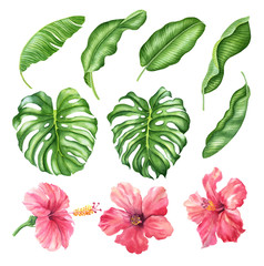  Realistic tropical botanical foliage plants. Set of tropical leaves and flowers: green palm neanta, monstera, hibiscus. Hand painted watercolor illustration isolated on white.