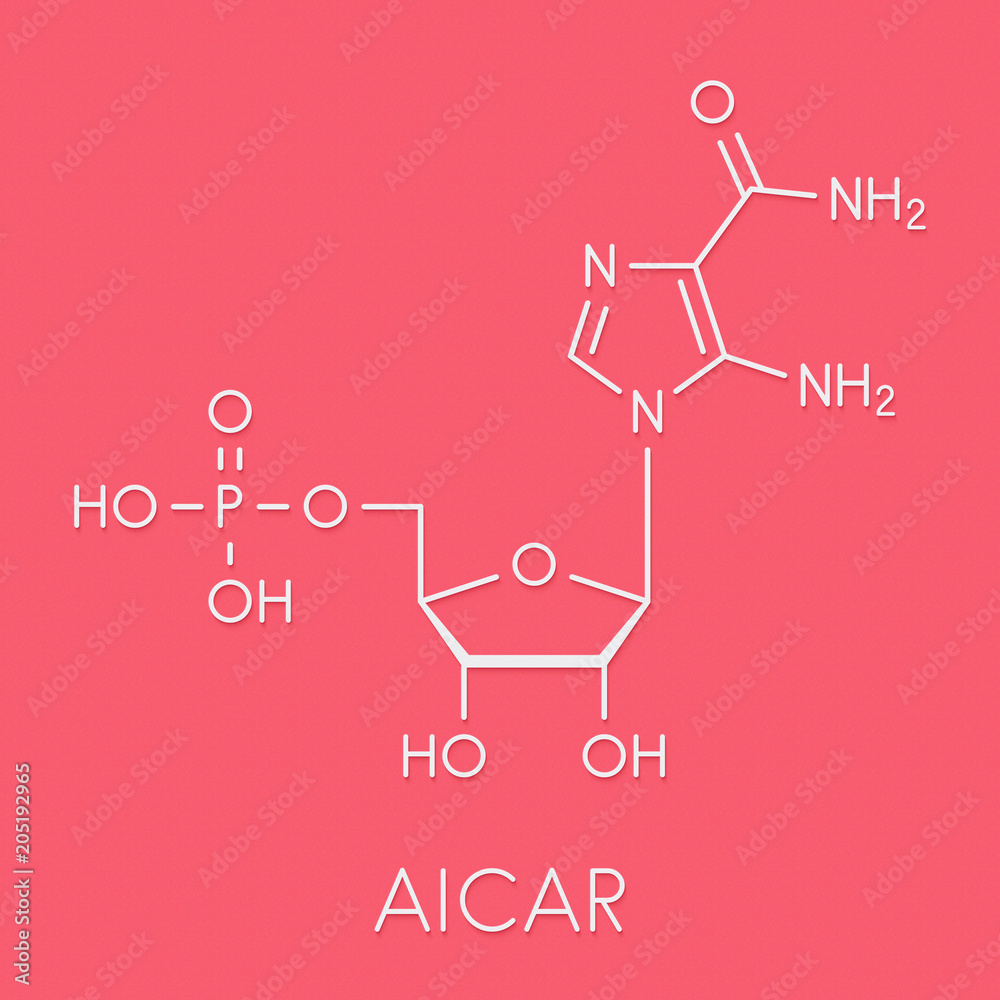 AICA ribonucleotide (AICAR) performance enhancing drug molecule. Used ...